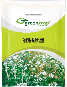 Ajwain - Green Crop Seeds