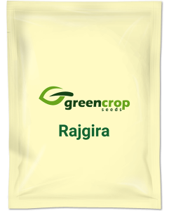 Rajgira - Green Crop Seeds
